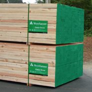 Weyerhaeuser Green Stud
