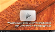 Weyerhaeuser Edge Gold Down Pore
