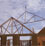 MSR/MEL Lumber